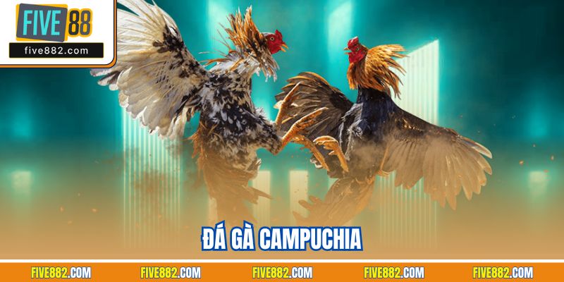 Đá Gà Campuchia Five88 – Đỉnh Cao Giải Trí Hấp Năm 2025